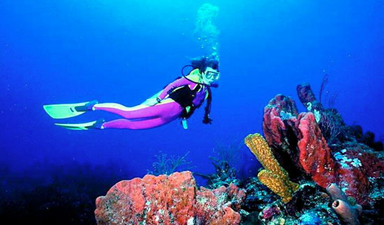 Area Scuba Diving Adventures