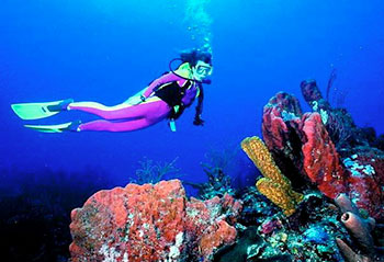 Scuba Diving Adventures Nearby