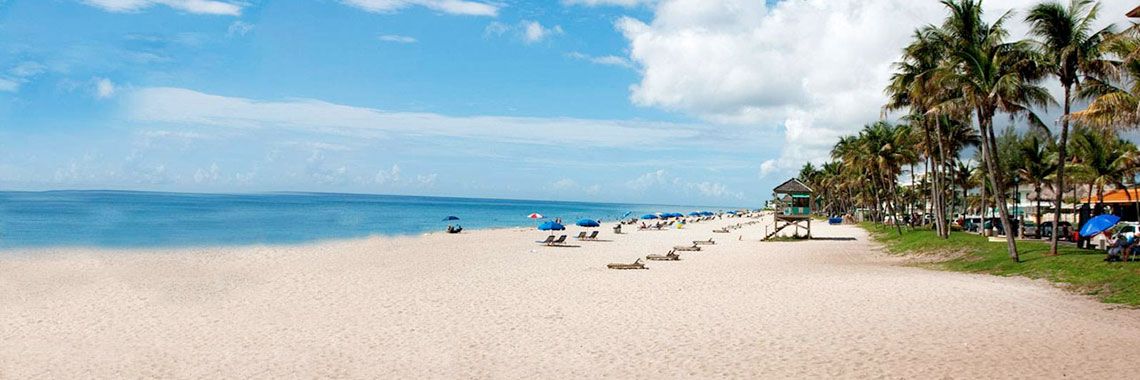 White Sand Beach View