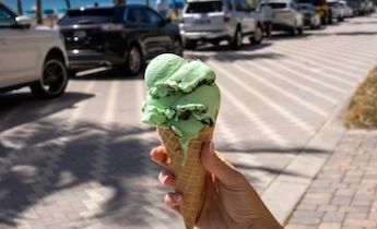 Mint Chocolate Chip Gelato